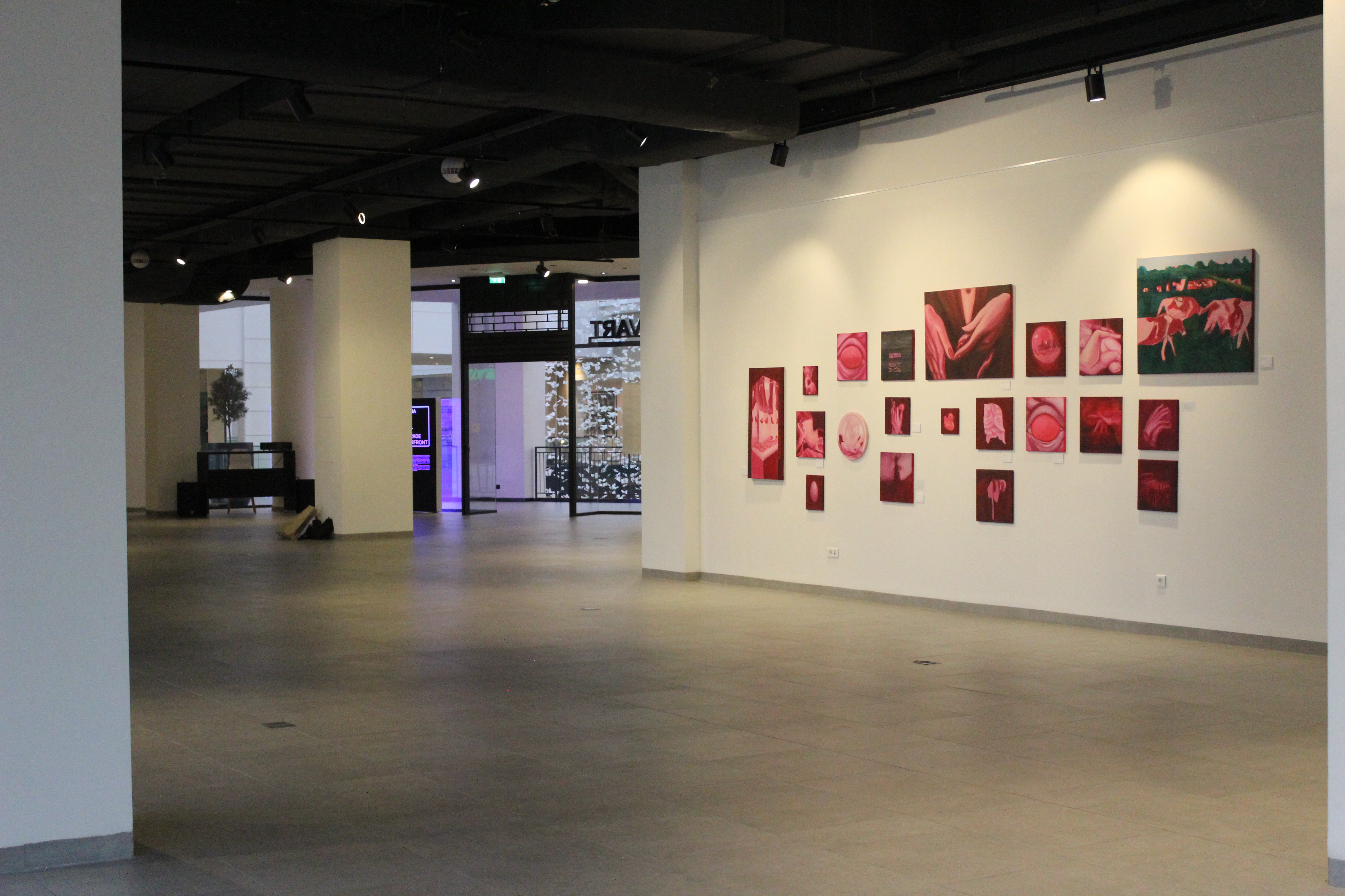 Dreamy Softness exhibition view 17