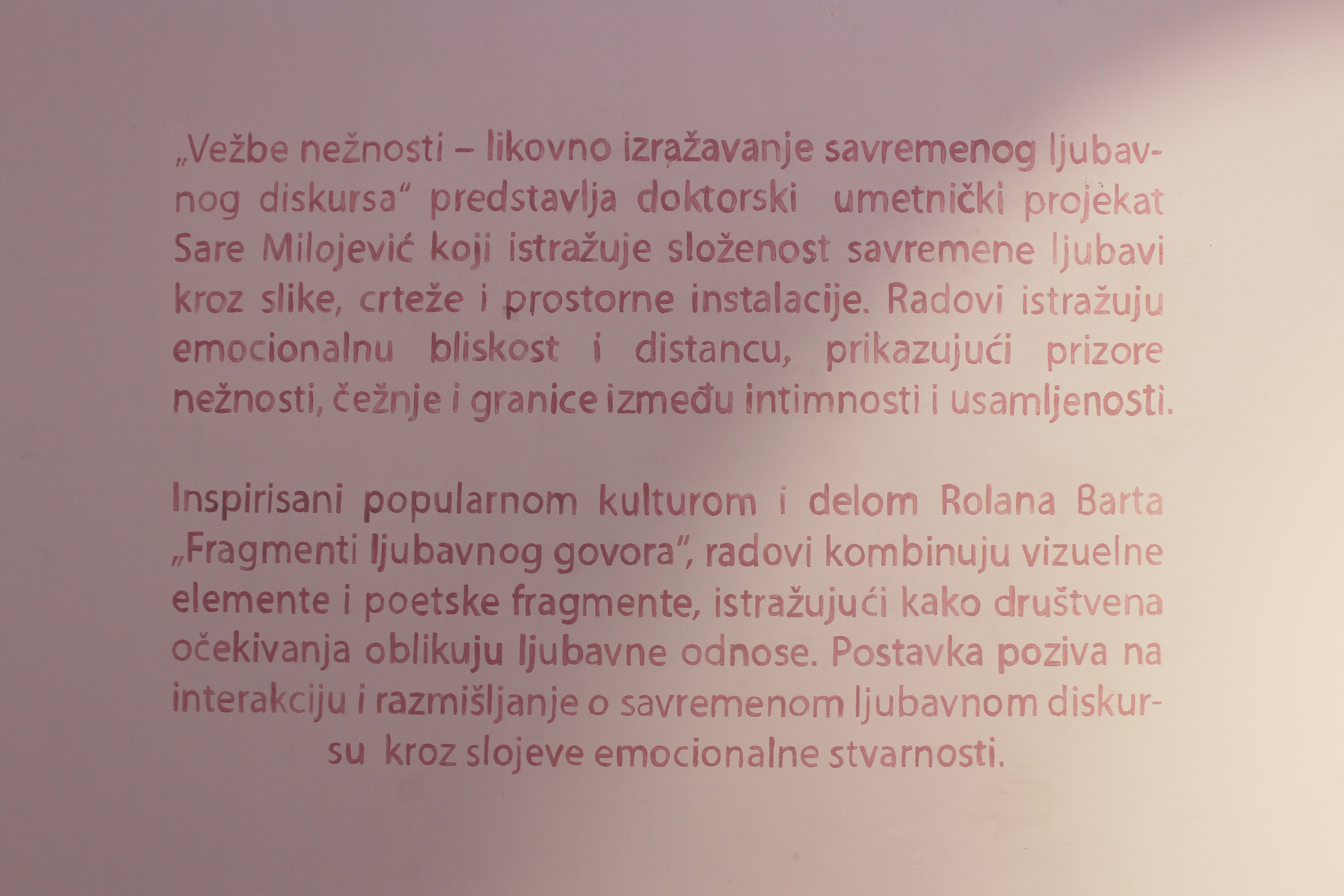 Exercises in Tenderness exhibition view 7