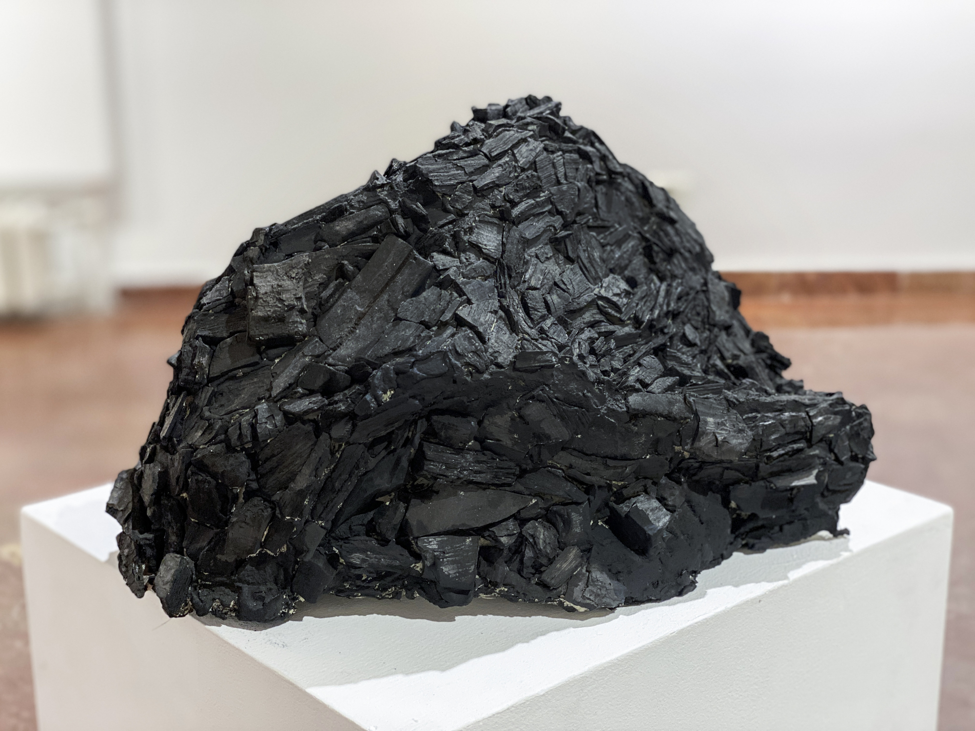 Root of Bark exhibition view 17