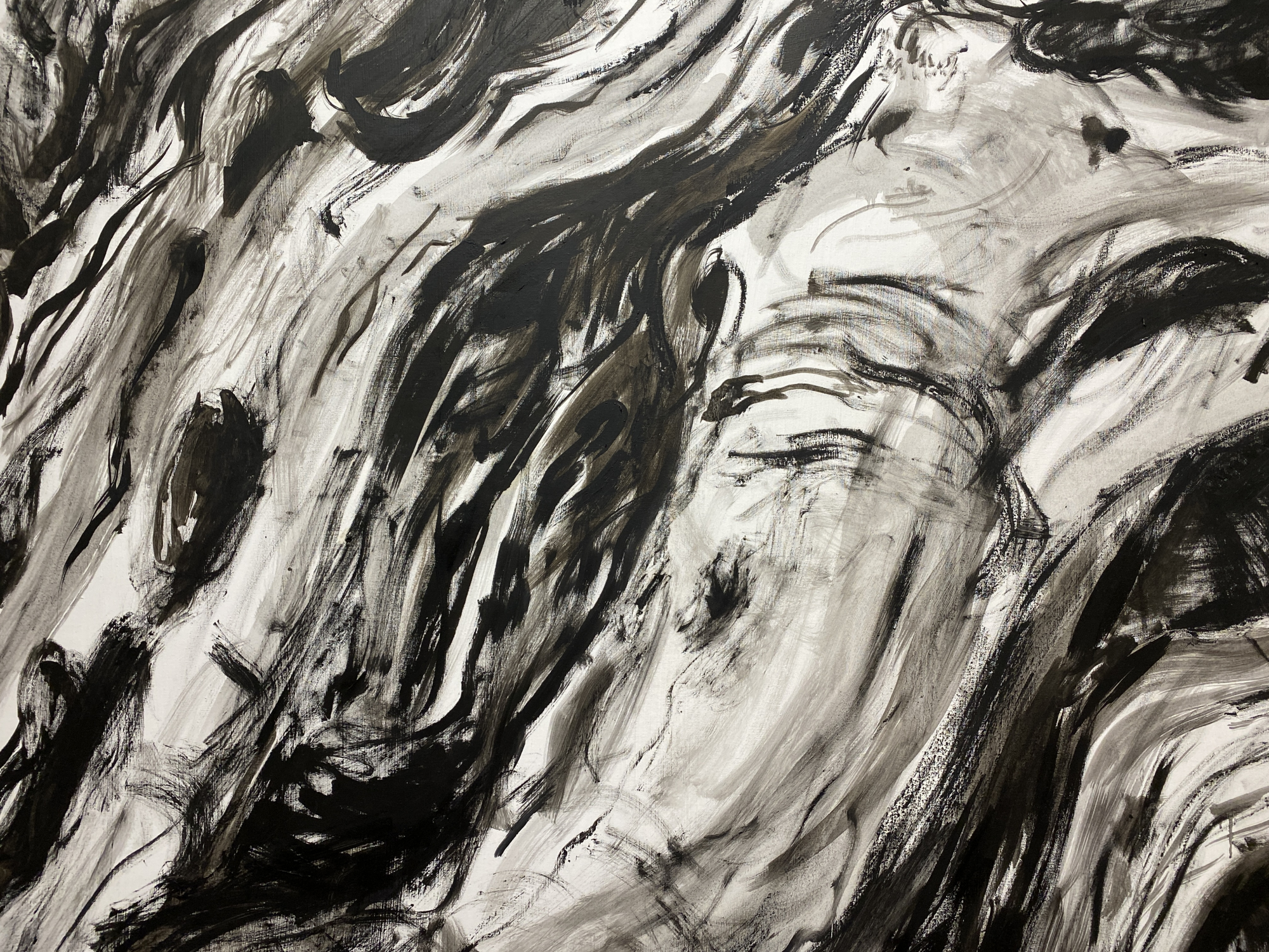 Root of Bark exhibition view 20