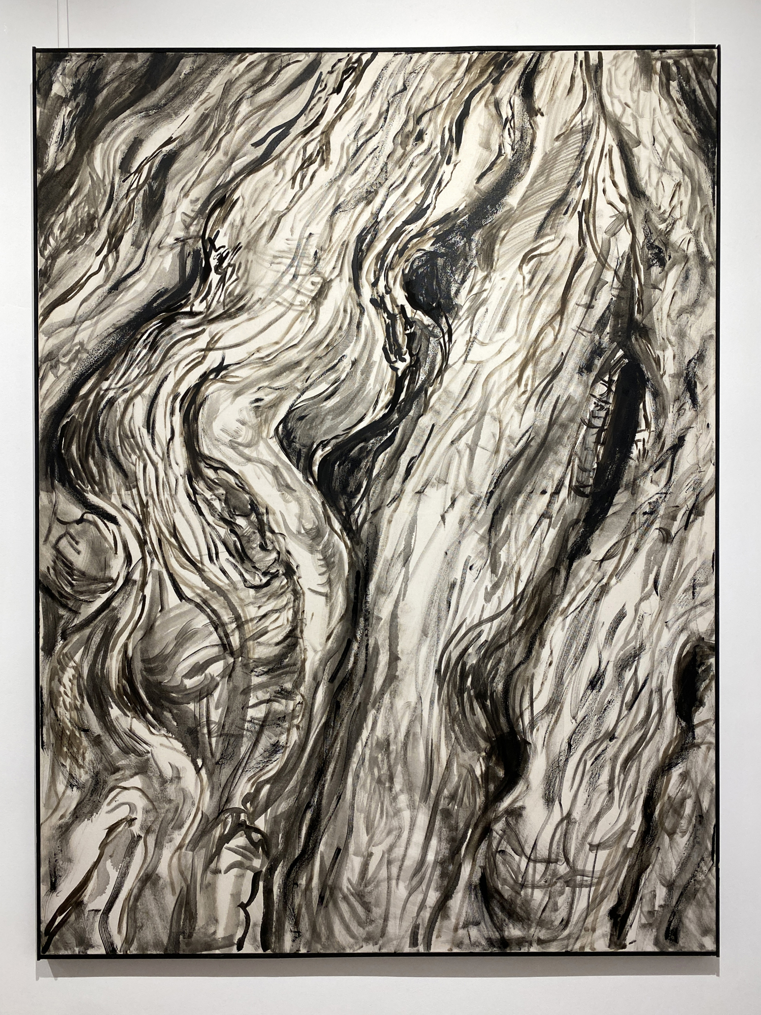 Root of Bark exhibition view 23