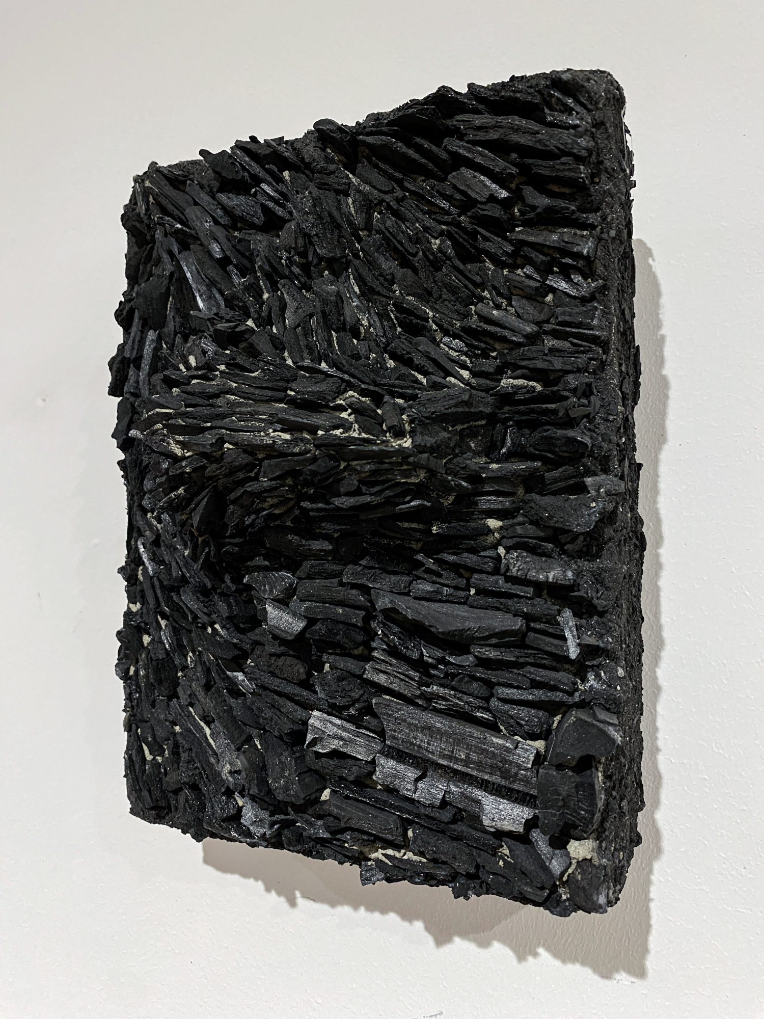 Root of Bark exhibition view 25