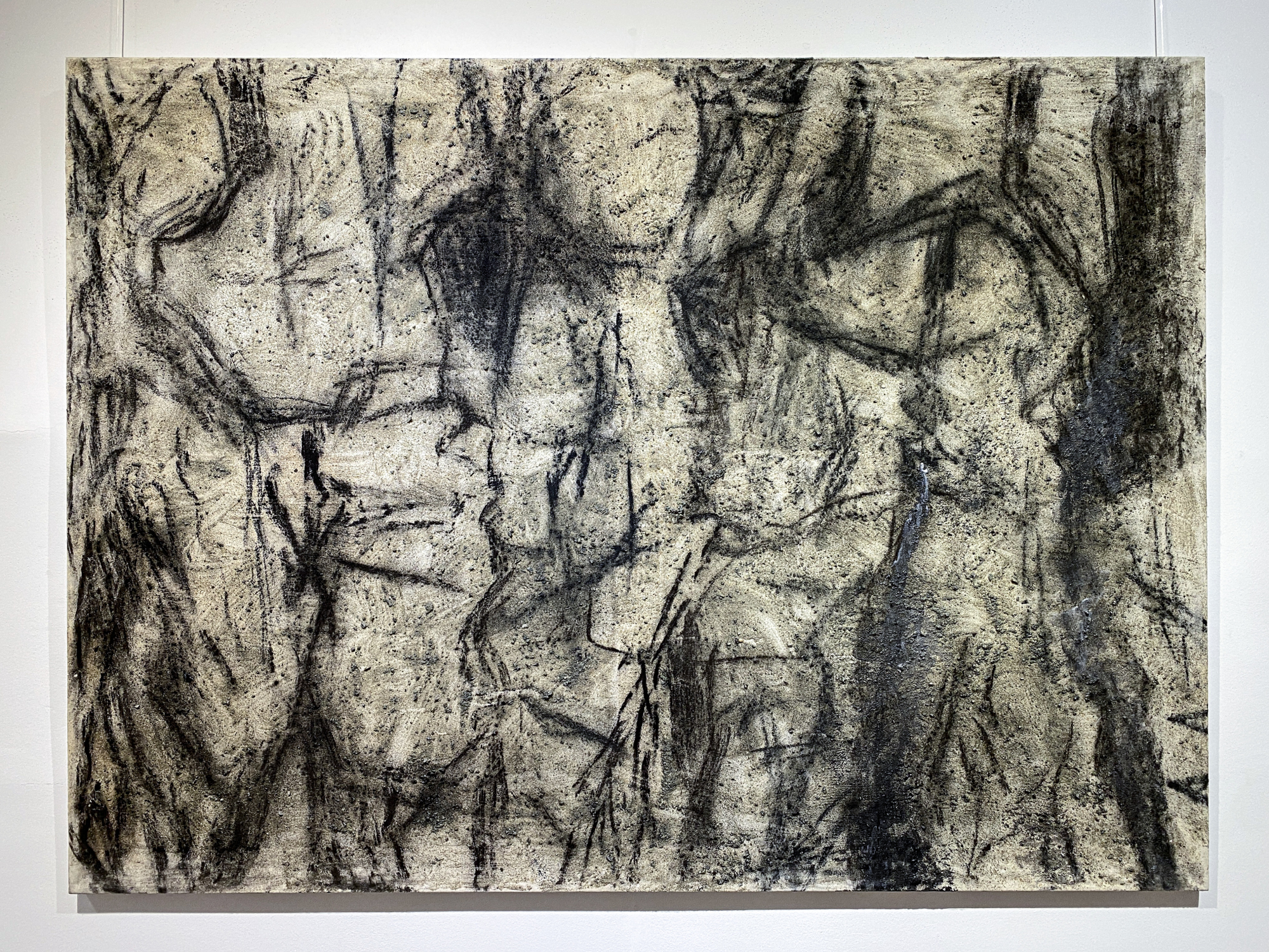 Root of Bark exhibition view 27