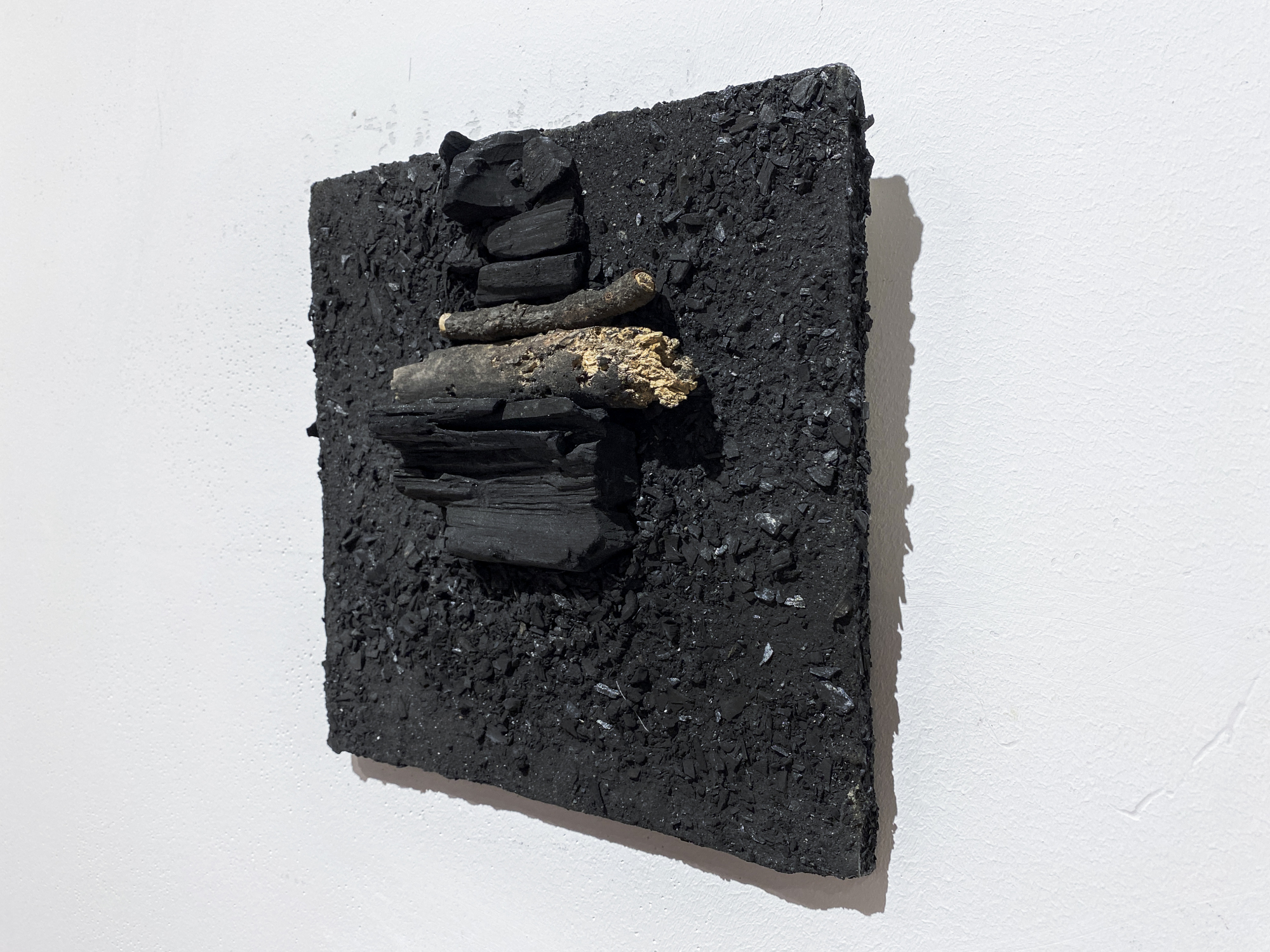 Root of Bark exhibition view 28