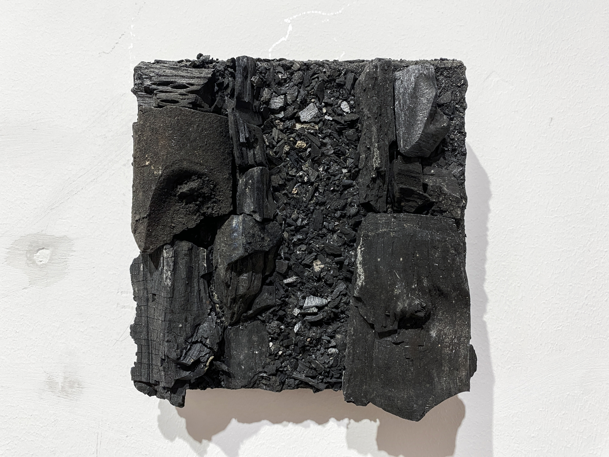 Root of Bark exhibition view 31