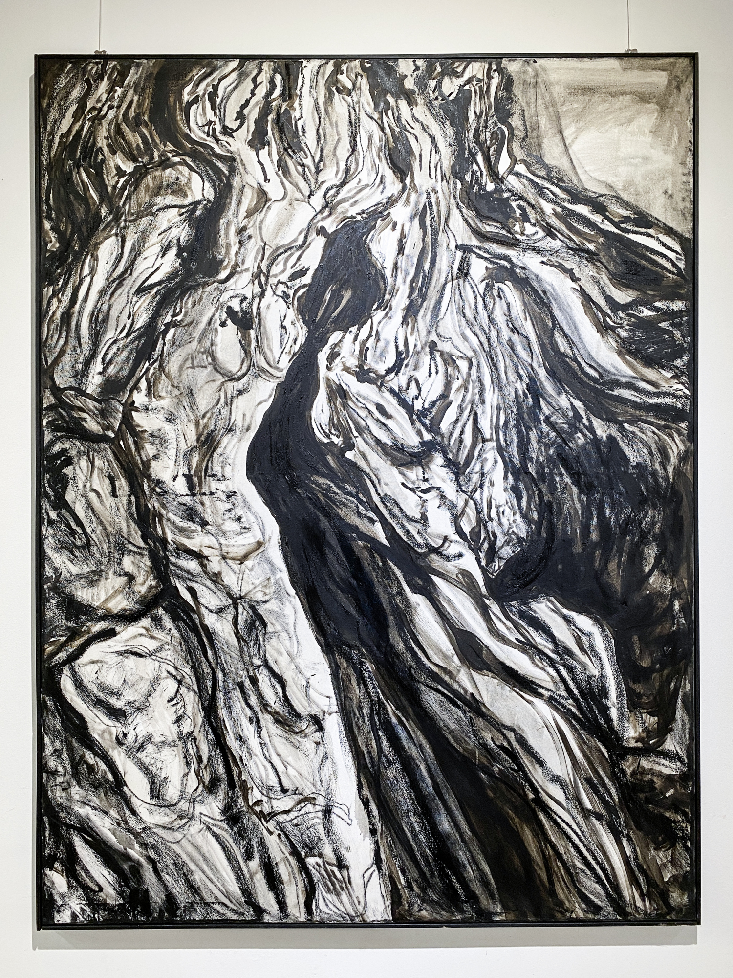 Root of Bark exhibition view 32