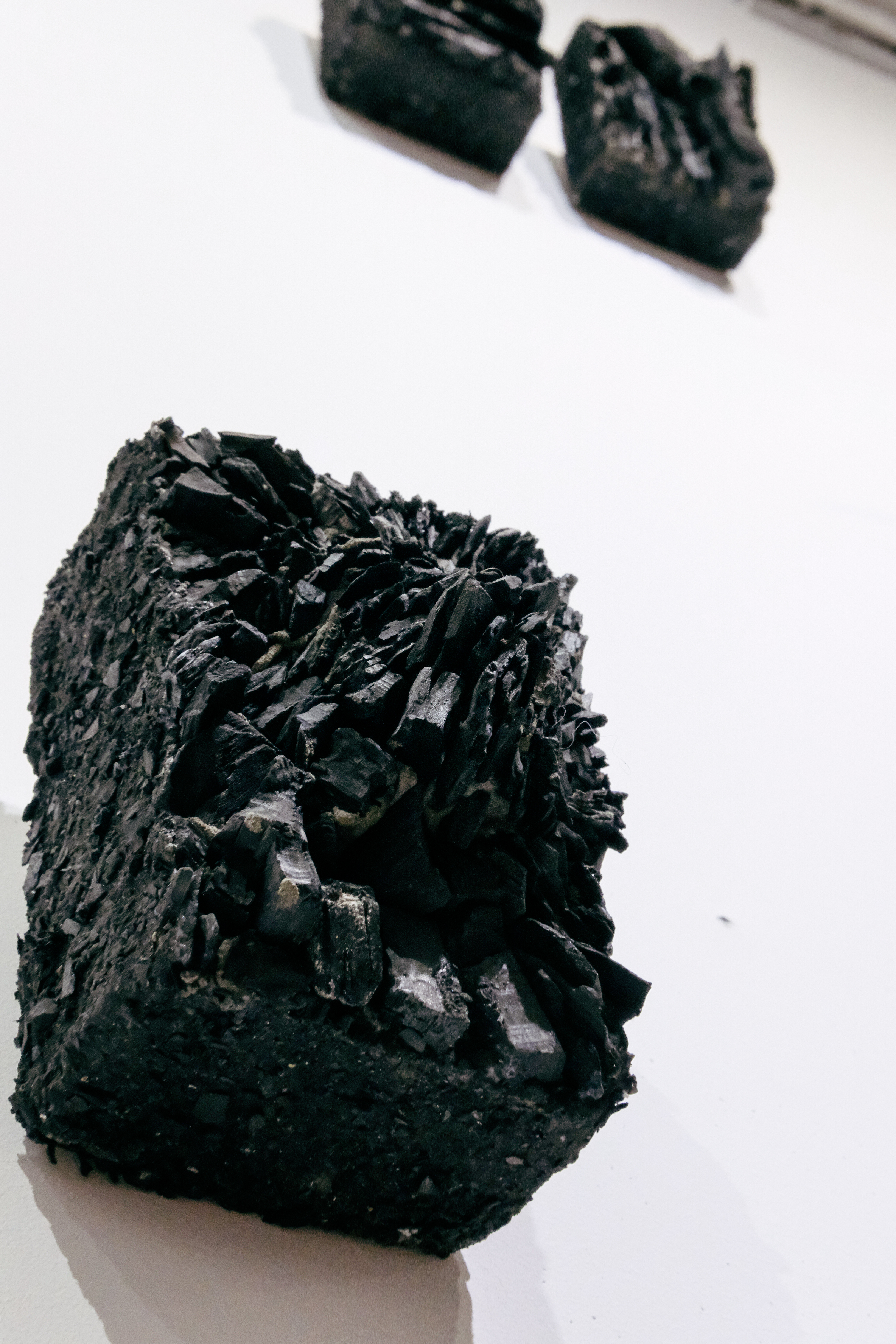 Root of Bark exhibition view 6