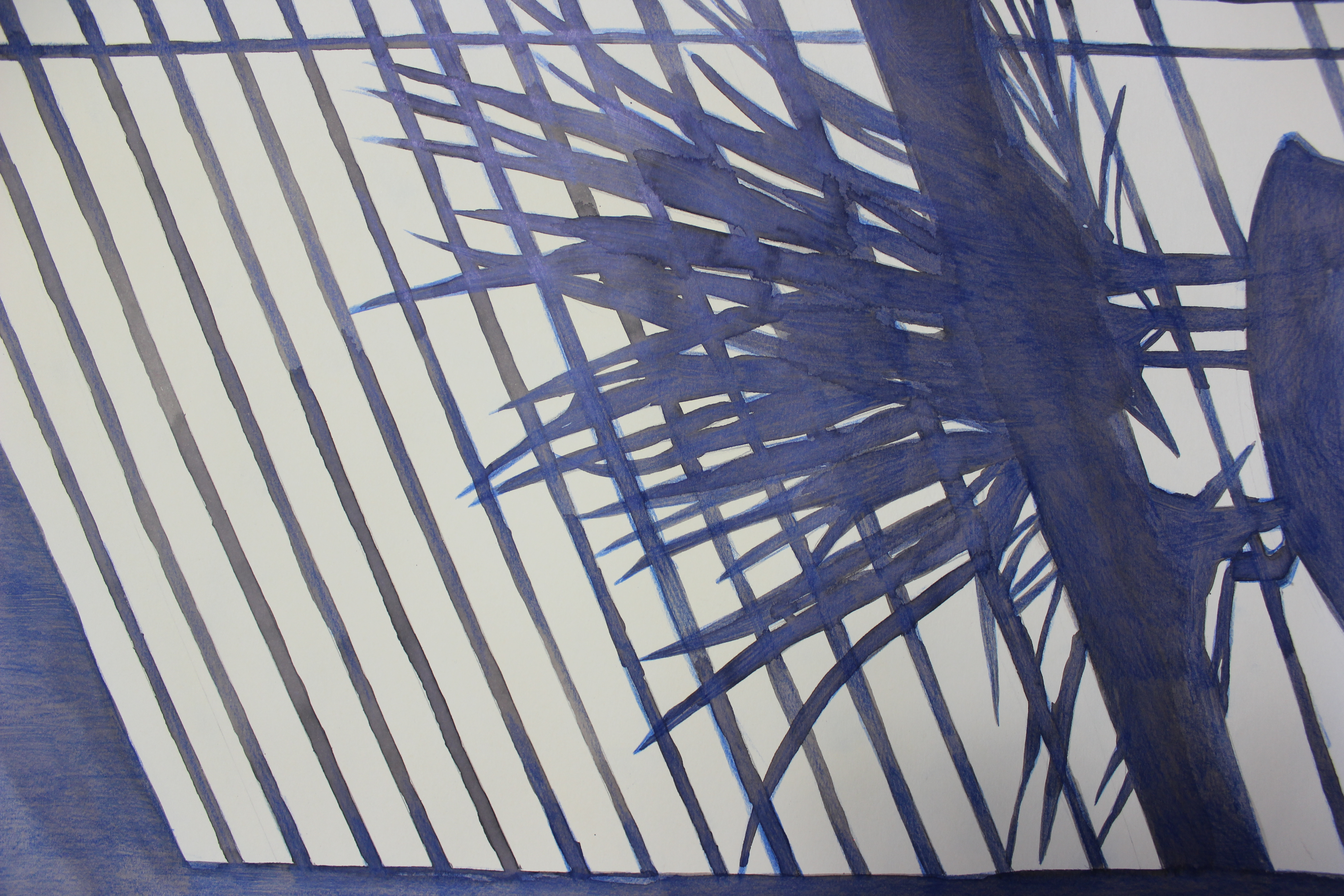 Shadowplay 01-3, colored pencil on paper