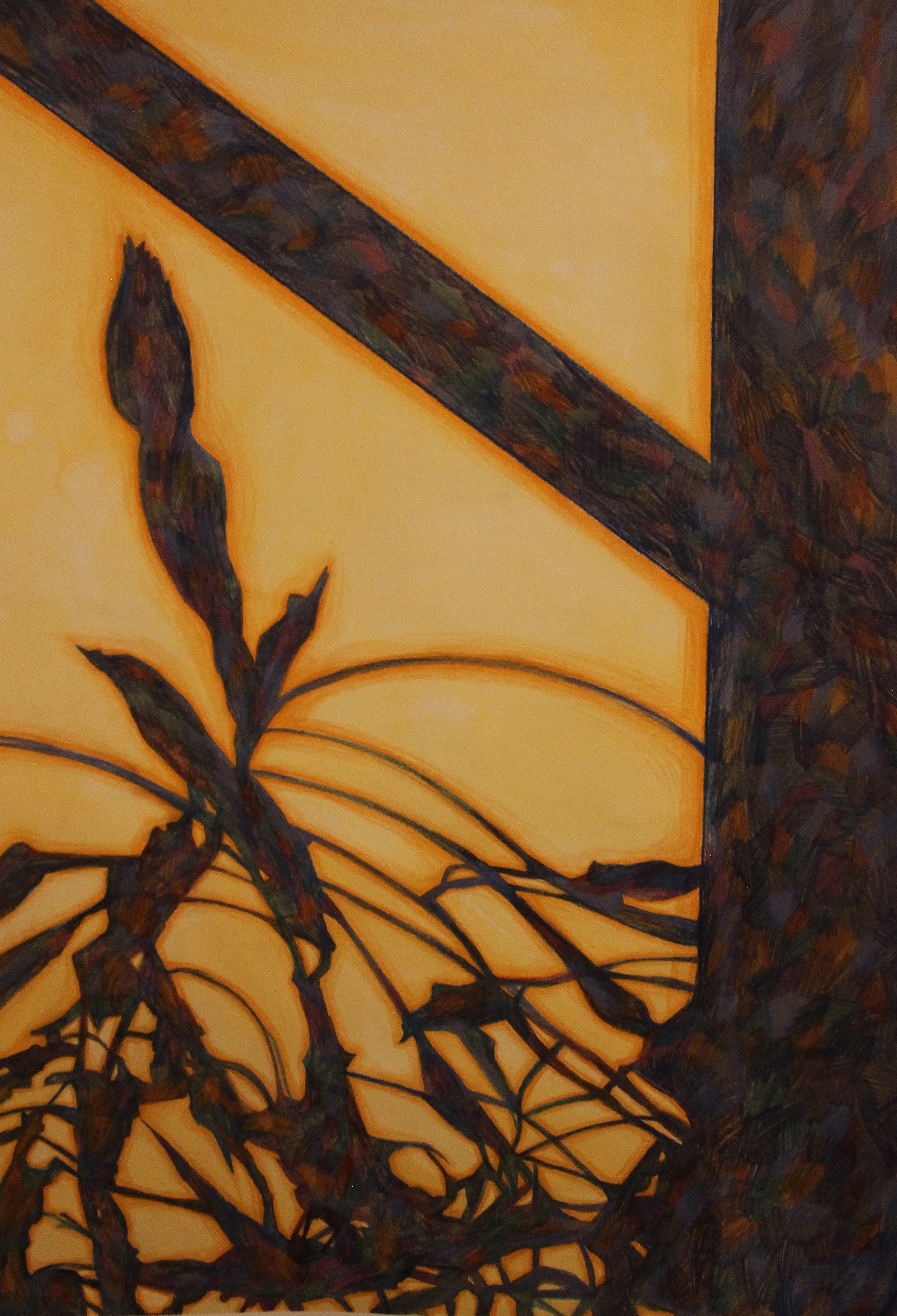 Shadowplay 10, colored pencil on paper